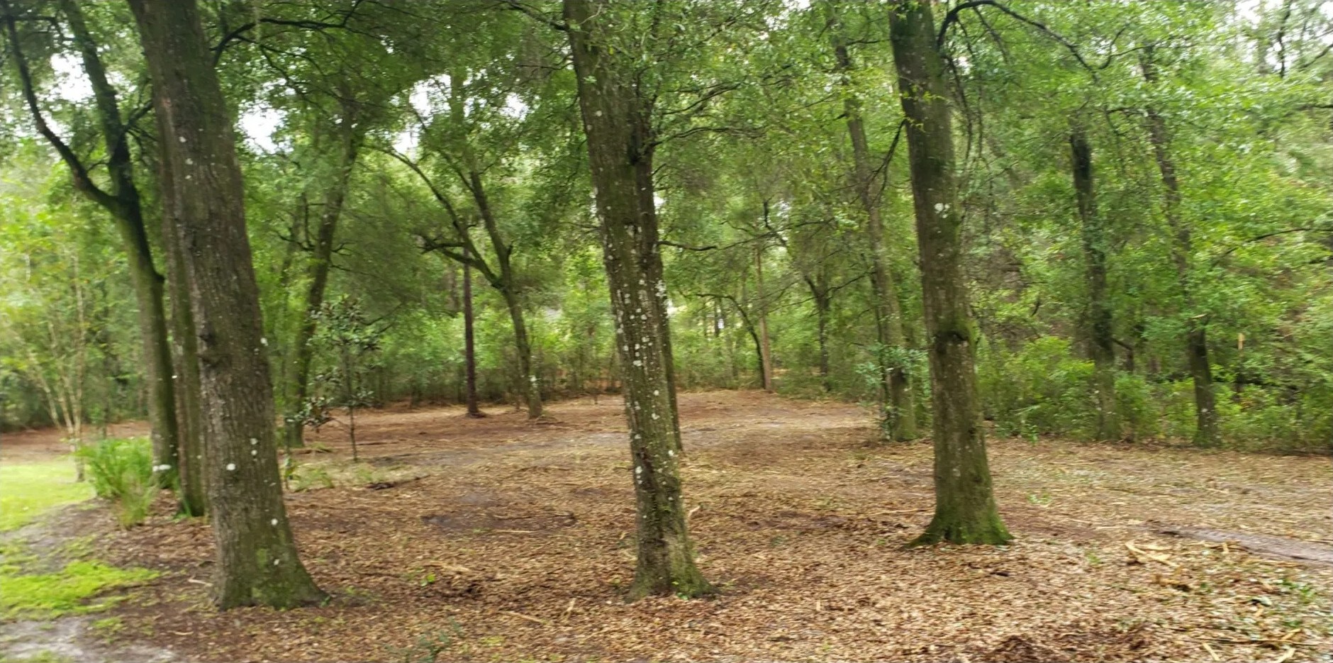 Land clearing after view - cleared property with vegetation removed