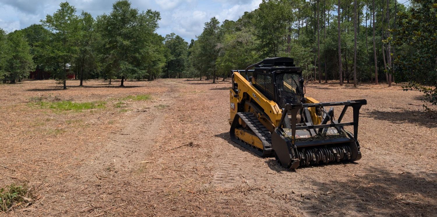 Land clearing after view - cleared property with vegetation removed