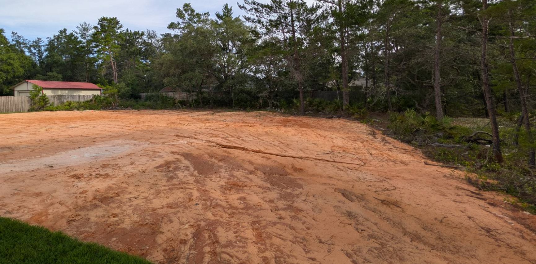 Land clearing before view - overgrown property with dense vegetation
