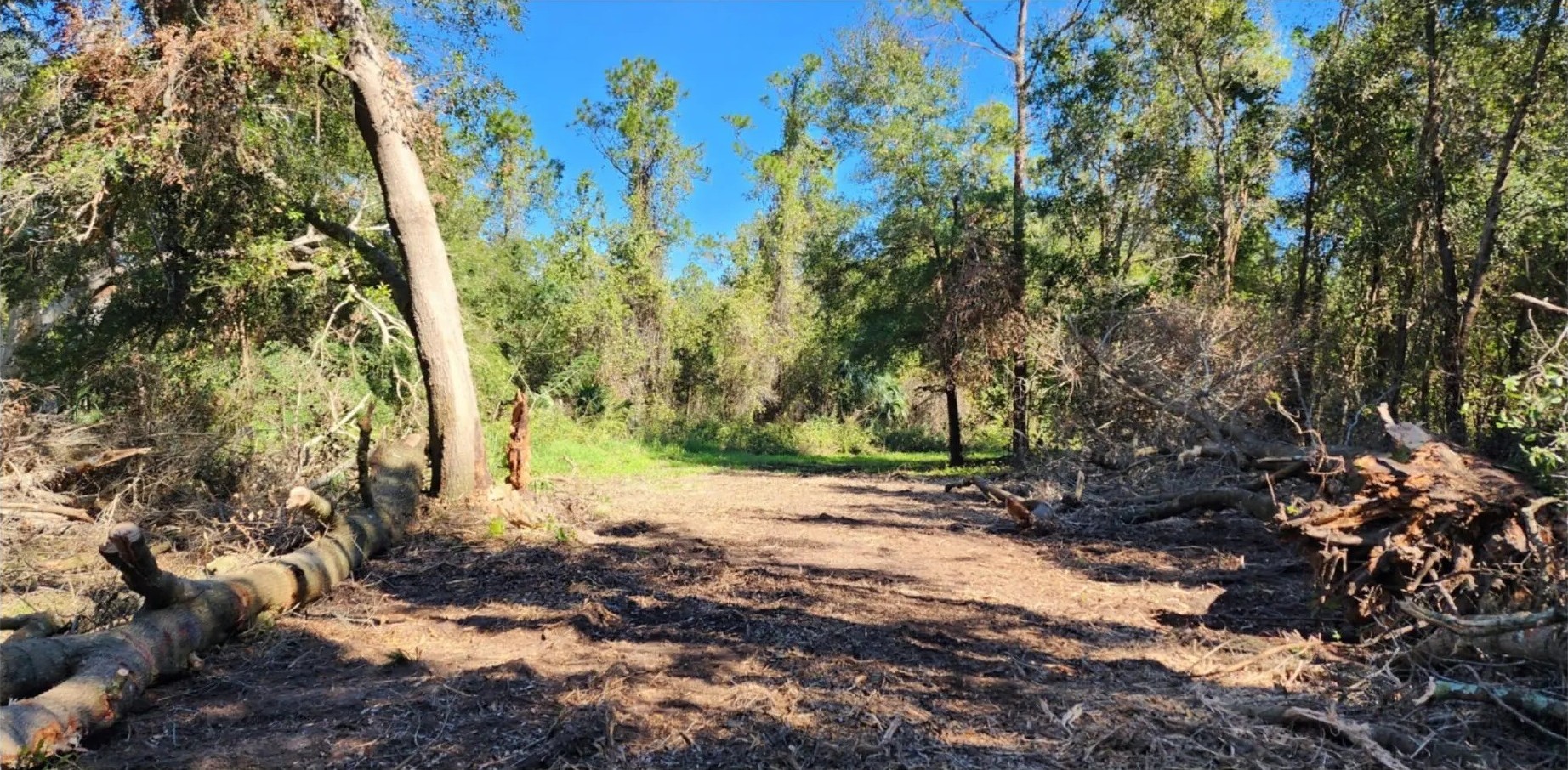 Land clearing after view - cleared property with vegetation removed